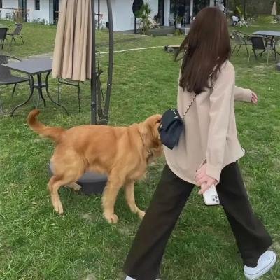 抬头有星光